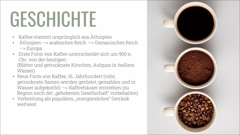 KAFFEE &
KOFFEIN
Alles über die Nutzung, die
Wirkung und die Sucht 01
02
03
INHALT
ALLGEMEINES
Geschichte, Vorkommen und
Herstellung
KONSUM
