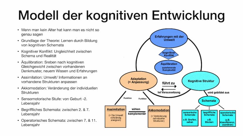 Pädagogik Piaget
Erklärungen und Zusammenfassungen Inhaltsverzeichnis
• Der Kognitivismus
●
Allgemein
Akkomodation und Assimilation
► ,,Wauw
