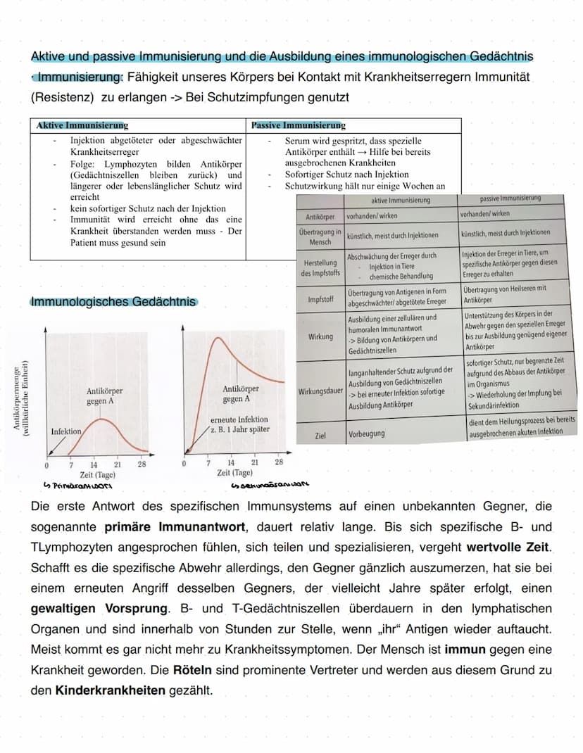 Immunbiologie
Grundlagen des Immunsystems
= Teilbereich der Biologie, der sich mit biologischen und biochemischen Grundlagen der
körperliche