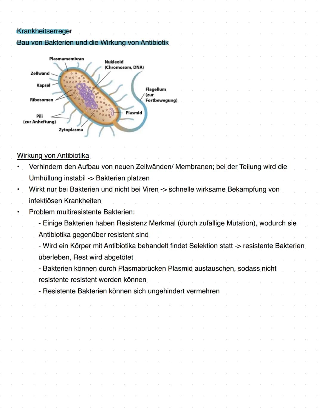 Immunbiologie
Grundlagen des Immunsystems
= Teilbereich der Biologie, der sich mit biologischen und biochemischen Grundlagen der
körperliche