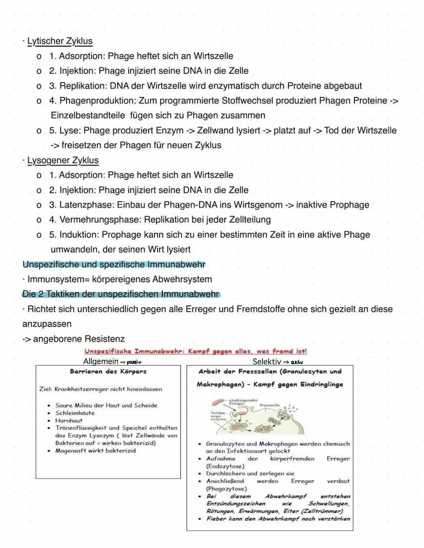Immunbiologie
Grundlagen des Immunsystems
= Teilbereich der Biologie, der sich mit biologischen und biochemischen Grundlagen der
körperliche