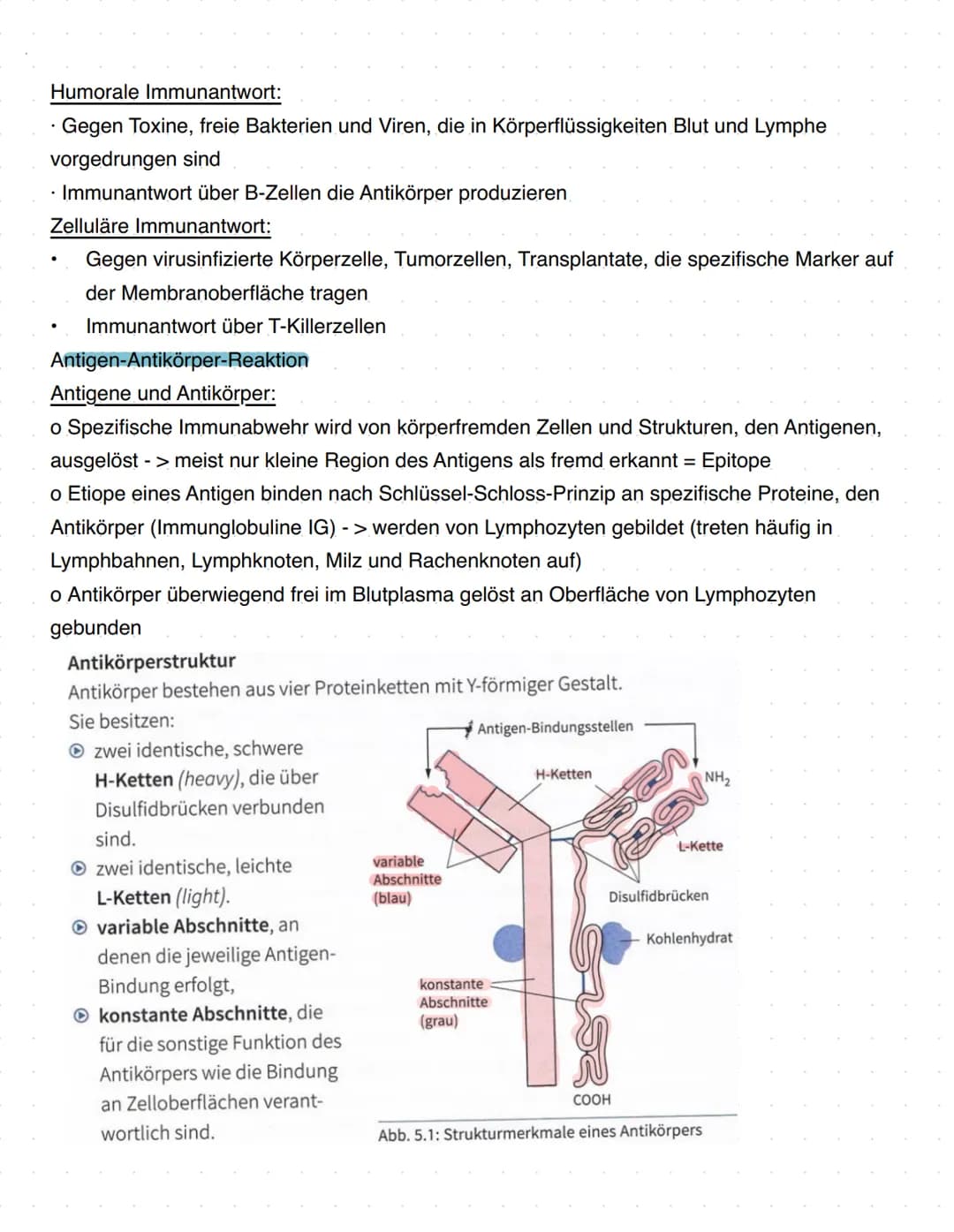 Immunbiologie
Grundlagen des Immunsystems
= Teilbereich der Biologie, der sich mit biologischen und biochemischen Grundlagen der
körperliche