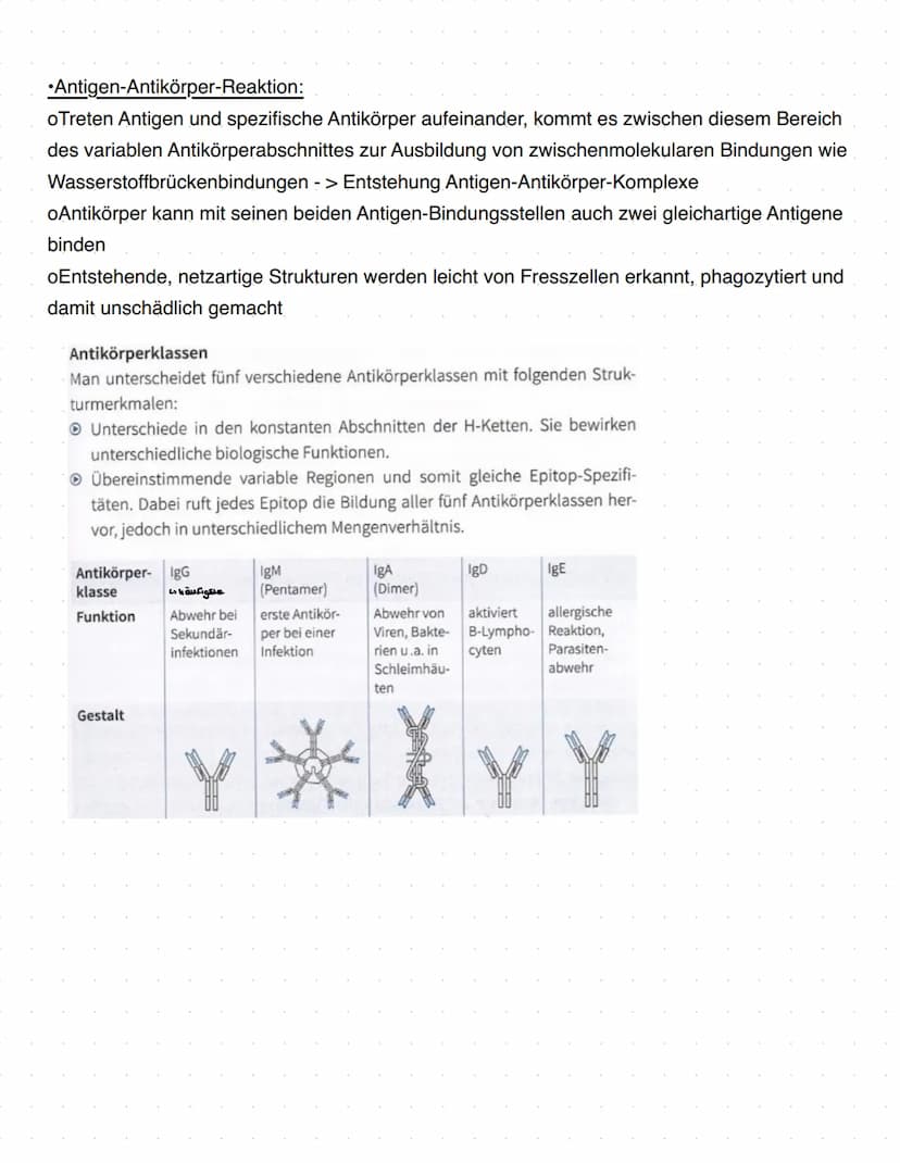 Immunbiologie
Grundlagen des Immunsystems
= Teilbereich der Biologie, der sich mit biologischen und biochemischen Grundlagen der
körperliche