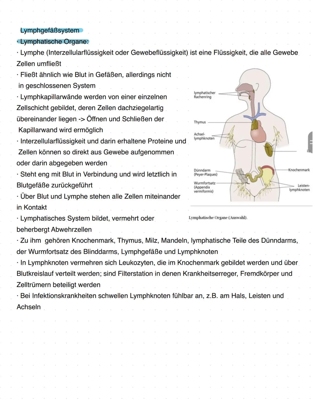 Immunbiologie
Grundlagen des Immunsystems
= Teilbereich der Biologie, der sich mit biologischen und biochemischen Grundlagen der
körperliche