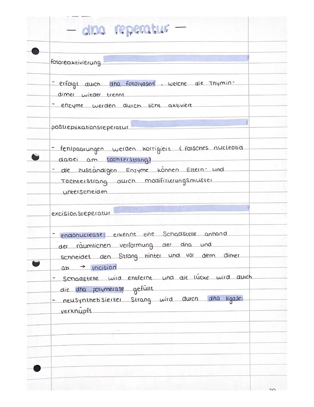 alina reperatur
fotoreaktivierung
erfolgt durch ana fotaiyasen welche die Thymin-
dimer wieder trennt
enzyme
werden durch.
postreplikationsr