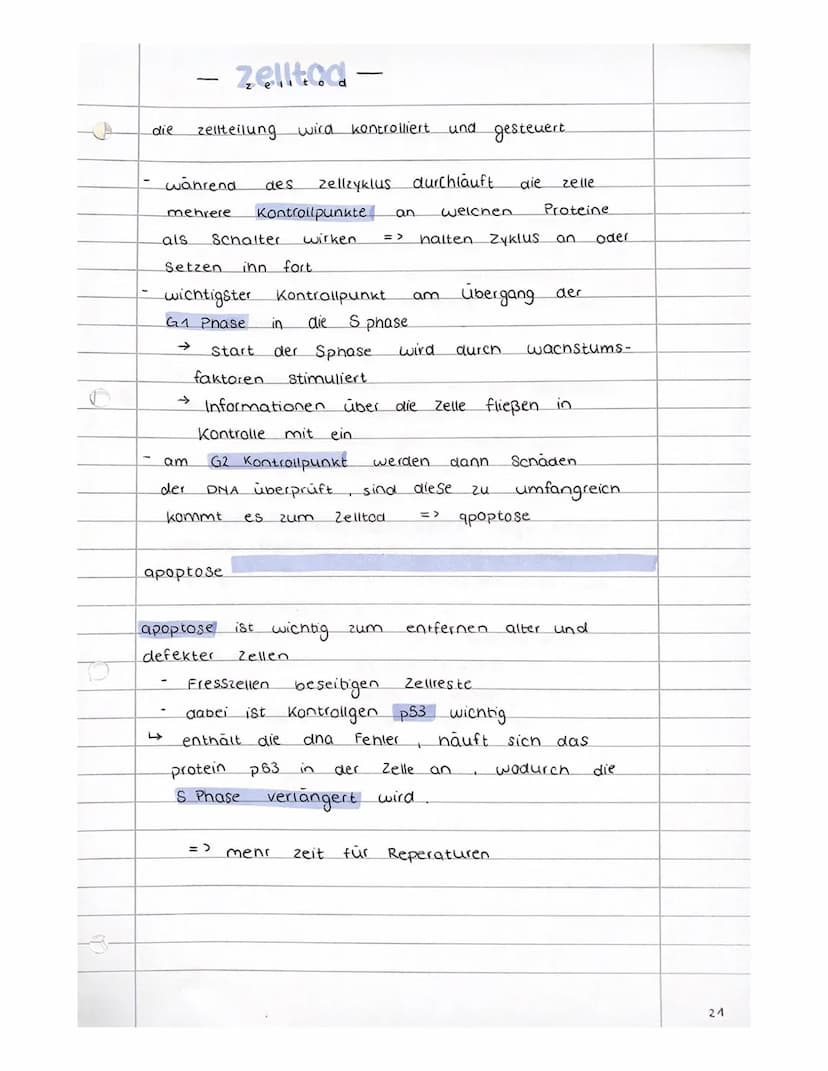 alina reperatur
fotoreaktivierung
erfolgt durch ana fotaiyasen welche die Thymin-
dimer wieder trennt
enzyme
werden durch.
postreplikationsr
