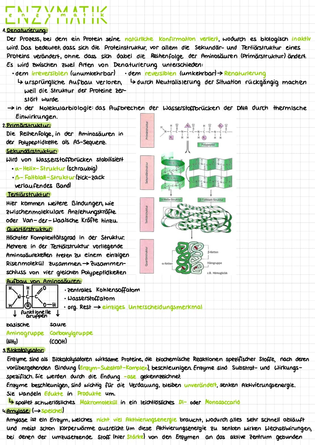 Enzymatik