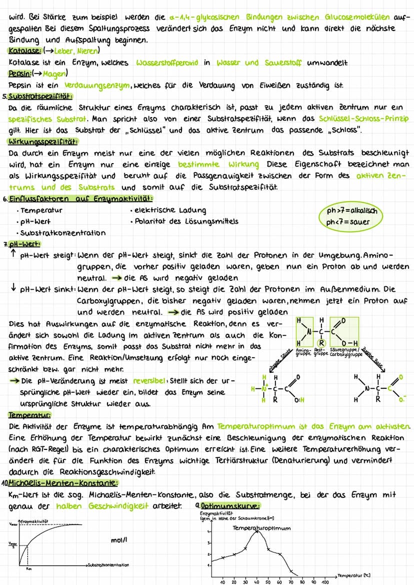 N7VMAT!!/
en 2 y matik
LINZII TALLIN
1. Denaturierung:
Der Prozess, bei dem ein Protein seine natürliche Konfirmation verliert, wodurch es b