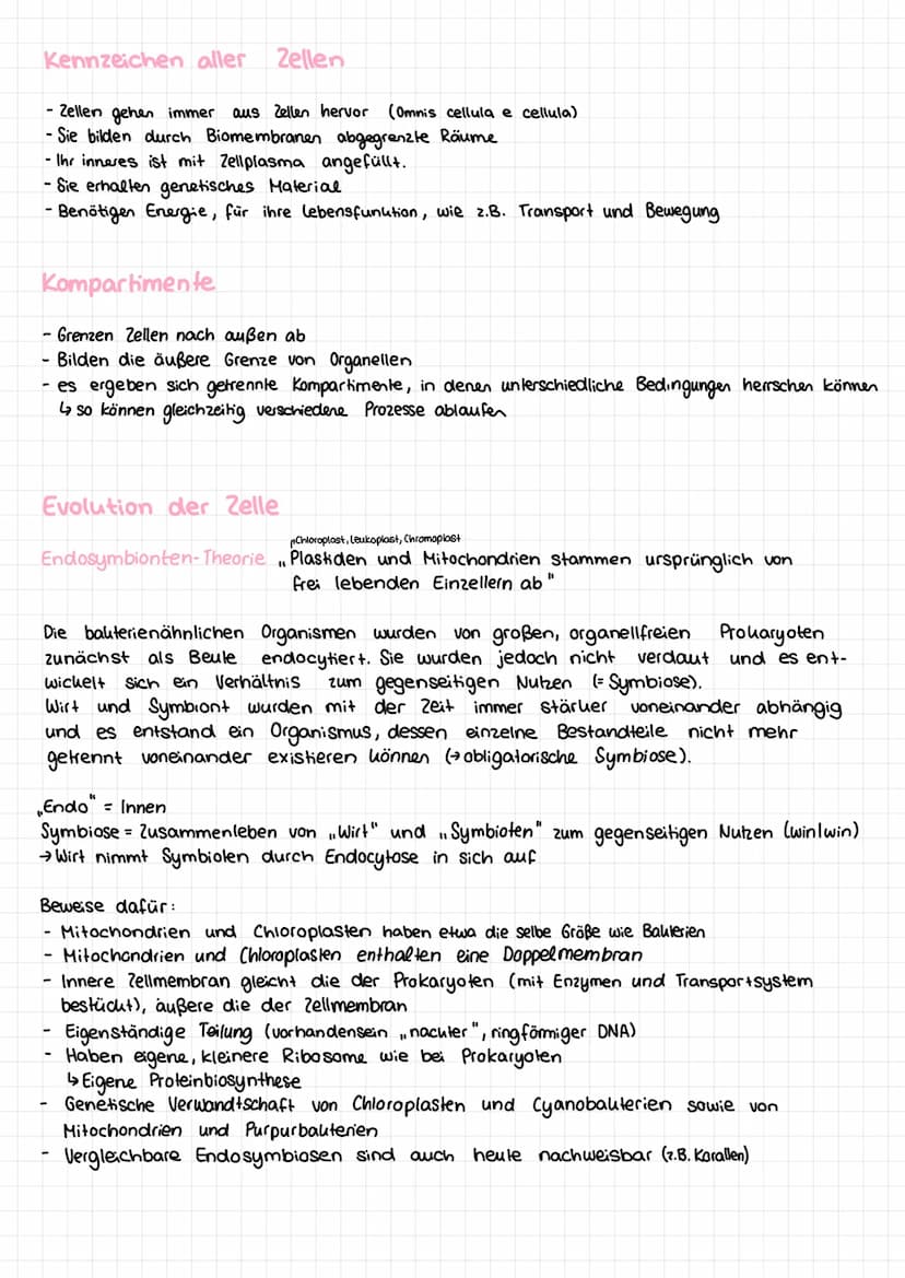 Basiskonzepte der Biologie
Stoff- u. Energieumwandlung
Lebewesen sind offene Systeme; sie sind gebunden an Stoff- und Energieumwandlung
- Bs