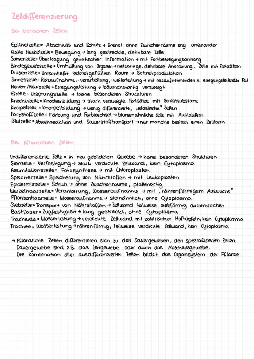 Basiskonzepte der Biologie
Stoff- u. Energieumwandlung
Lebewesen sind offene Systeme; sie sind gebunden an Stoff- und Energieumwandlung
- Bs