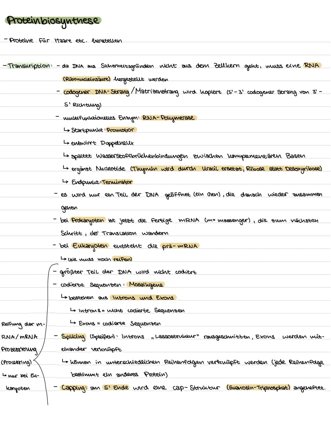 Versuch: Acetabularia
(einzellige Schirmalge).
Themen:
-DNA → Replikation
- Proteinbiosynthese → Transkription → Translation
- Versuche/ Exp