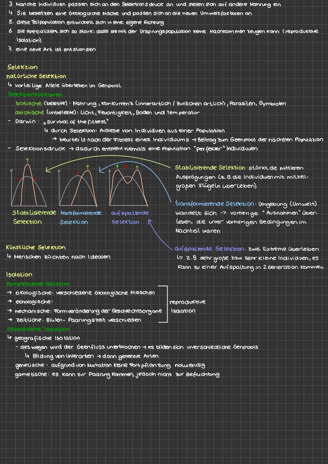 molekularbiologische Untersuchungen der Verwandtschaftsbeziehungen
Präzipitin-Test
Art A
-------
O
Mensch Schimpanse Gorilla Orang Utan
100%