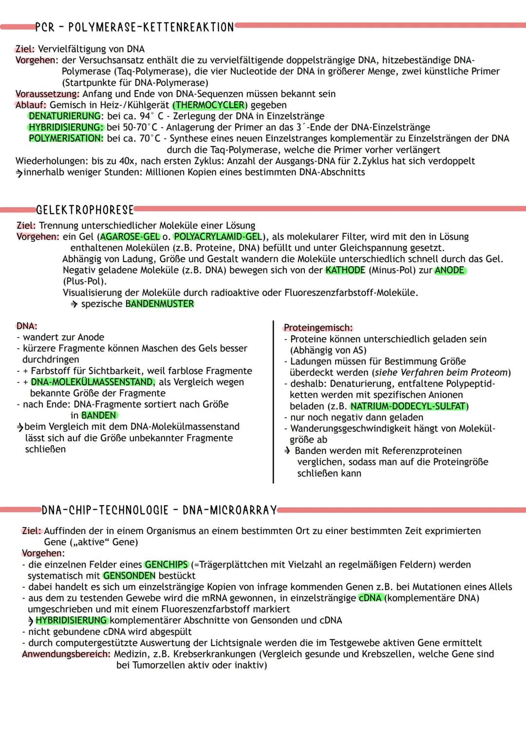 ÜBERBLICK
Informations-
speicherung
↓
Aufbau der Nuklein- Identische
säuren
Replikation
DNA
MOLEKULARGENETIK
Nukleinsäuren (DNA/RNA)
als Trä