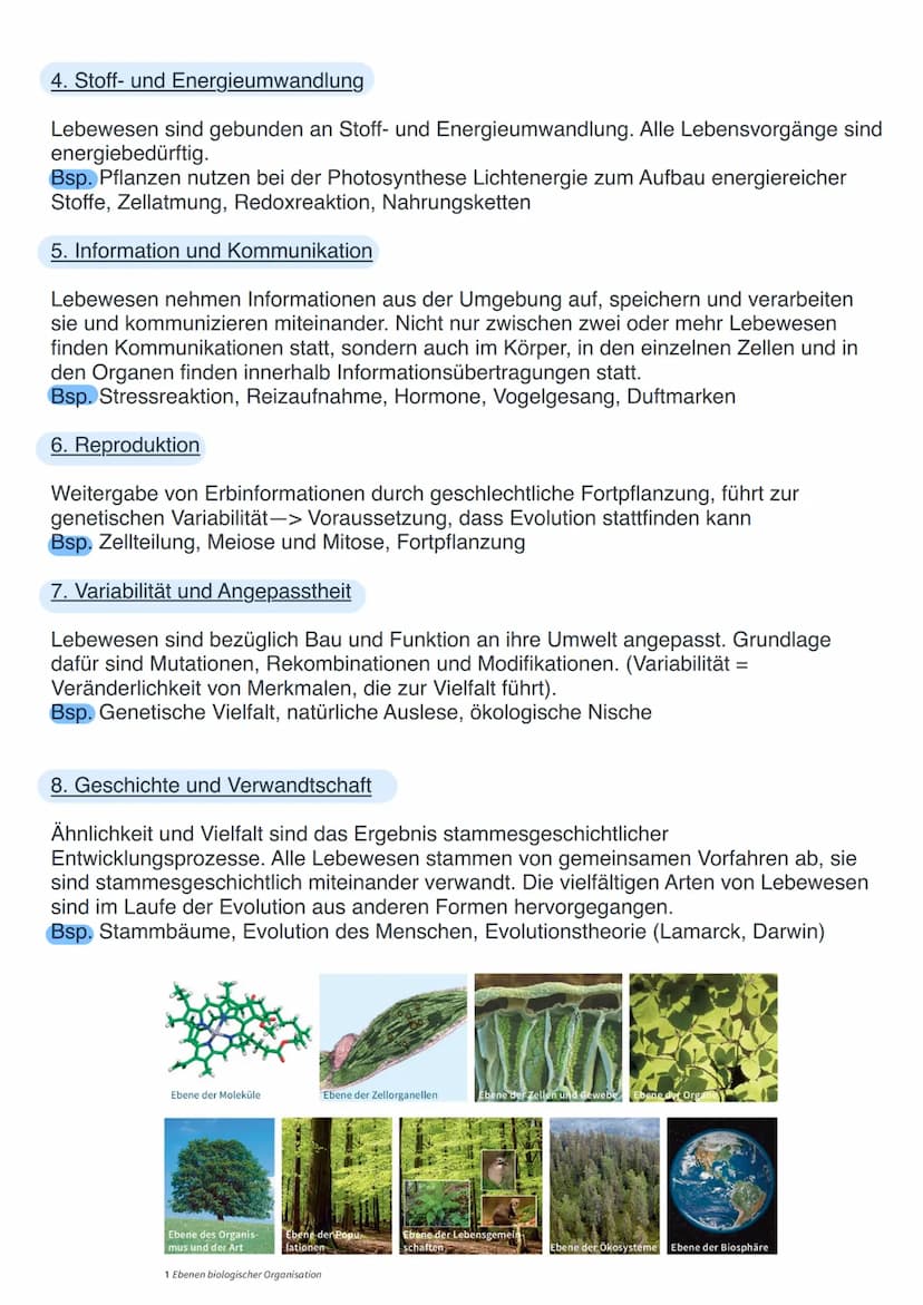 Basiskonzepte Biologie
Basiskonzepte beschreiben Grundphänomene in der Biologie. Sie vereinen Prinzipen
und Strukturen, die immer wieder in 
