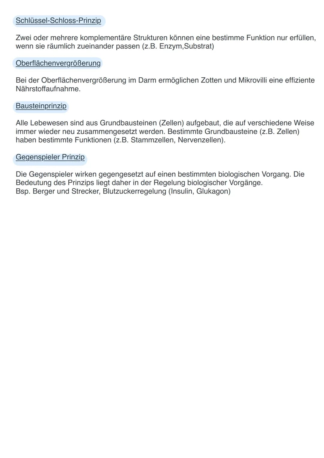 Basiskonzepte Biologie
Basiskonzepte beschreiben Grundphänomene in der Biologie. Sie vereinen Prinzipen
und Strukturen, die immer wieder in 