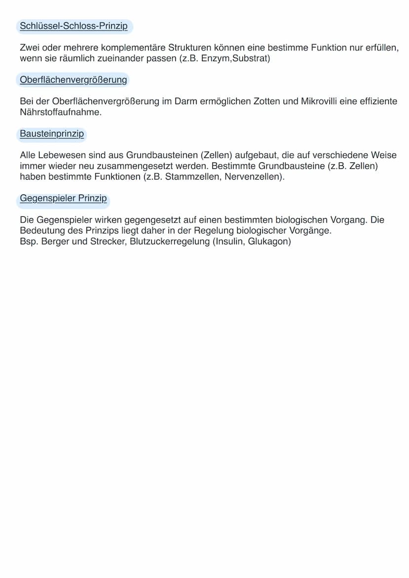 Basiskonzepte Biologie
Basiskonzepte beschreiben Grundphänomene in der Biologie. Sie vereinen Prinzipen
und Strukturen, die immer wieder in 