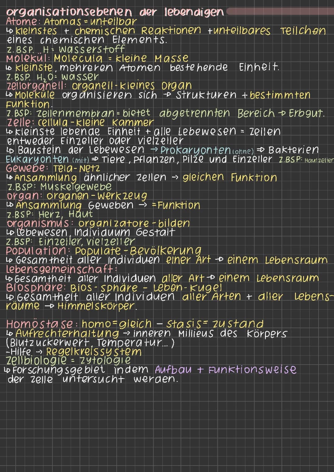 Organisationsebenen in der Biologie: Eine einfache Übersicht