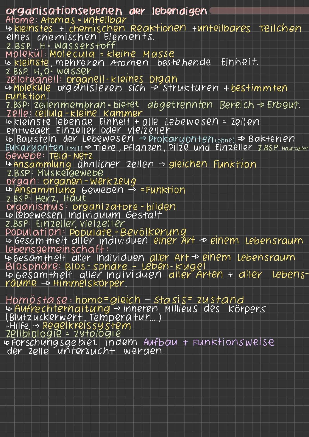 Organisationsebenen in der Biologie - Von der Zelle zum Organismus