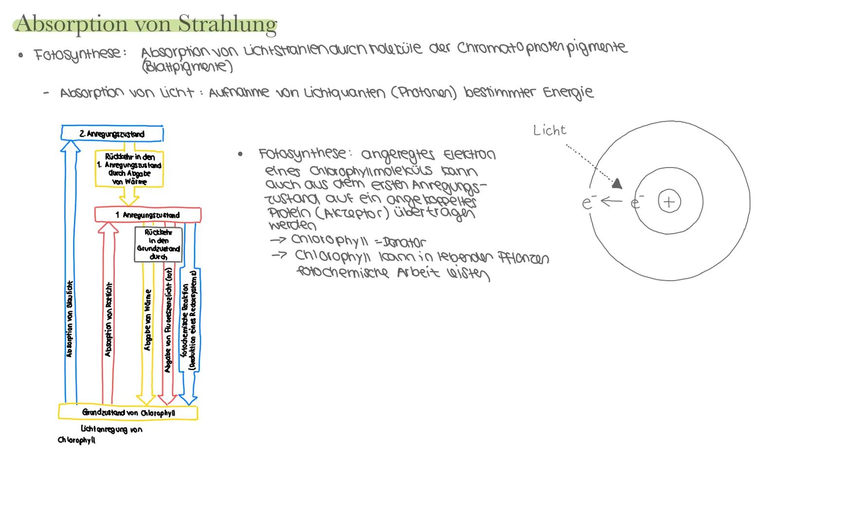 Biologie LK Klausur 2. Semester Lernzettel
Fotosynthese
+ wasser
6CO₂
+ 6H₂0
Äußere Einflüsse auf die Fotosynthese
Kohlenstoffdioxid
Fotosyn