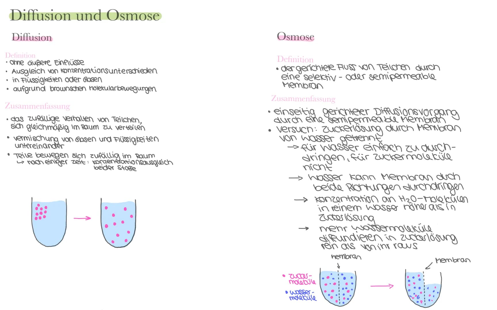 Biologie LK Klausur 2. Semester Lernzettel
Fotosynthese
+ wasser
6CO₂
+ 6H₂0
Äußere Einflüsse auf die Fotosynthese
Kohlenstoffdioxid
Fotosyn