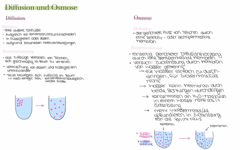 Biologie LK Klausur 2. Semester Lernzettel
Fotosynthese
+ wasser
6CO₂
+ 6H₂0
Äußere Einflüsse auf die Fotosynthese
Kohlenstoffdioxid
Fotosyn