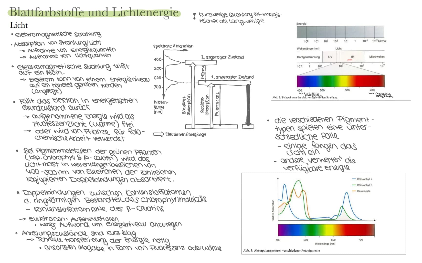 Biologie LK Klausur 2. Semester Lernzettel
Fotosynthese
+ wasser
6CO₂
+ 6H₂0
Äußere Einflüsse auf die Fotosynthese
Kohlenstoffdioxid
Fotosyn