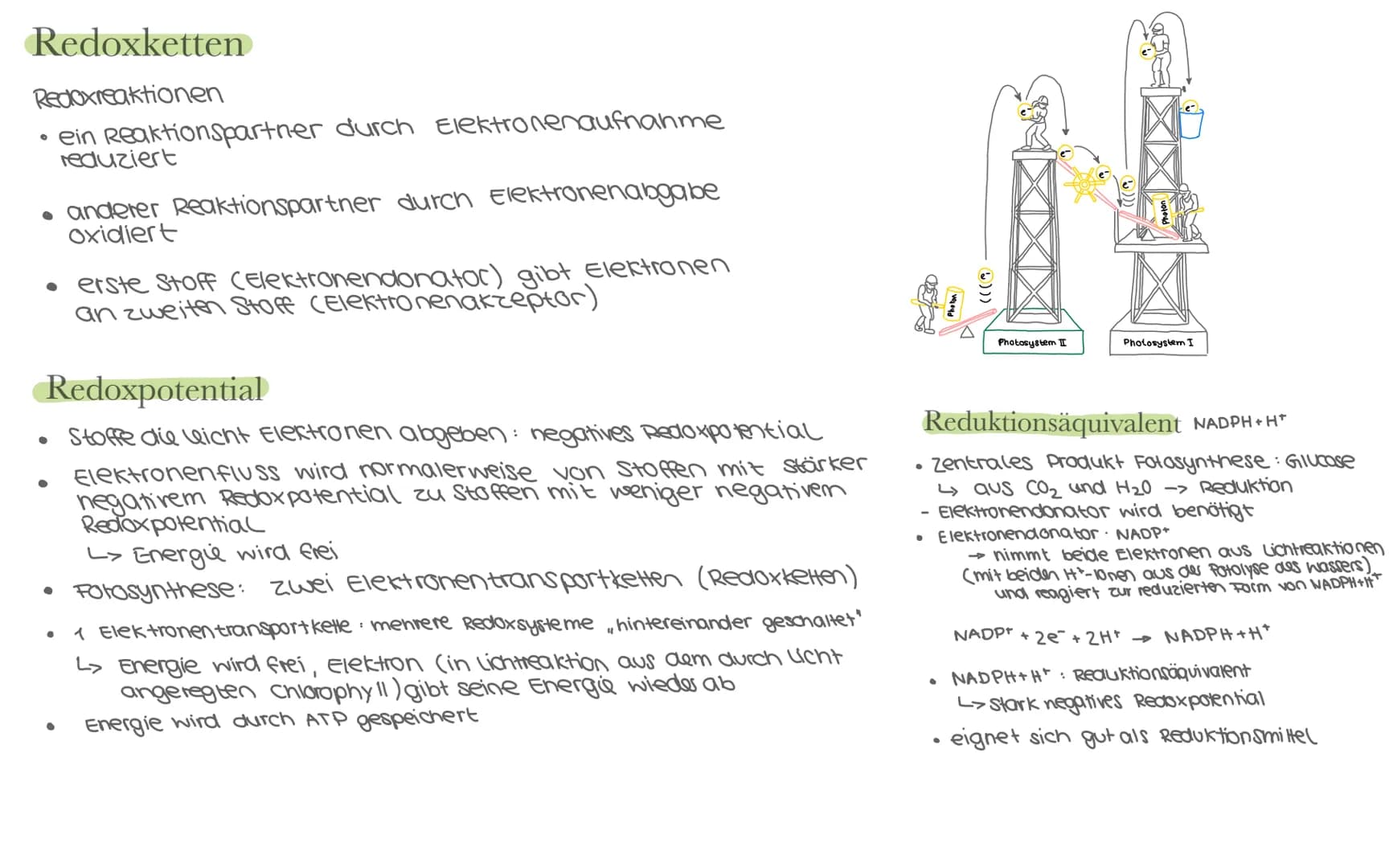 Biologie LK Klausur 2. Semester Lernzettel
Fotosynthese
+ wasser
6CO₂
+ 6H₂0
Äußere Einflüsse auf die Fotosynthese
Kohlenstoffdioxid
Fotosyn