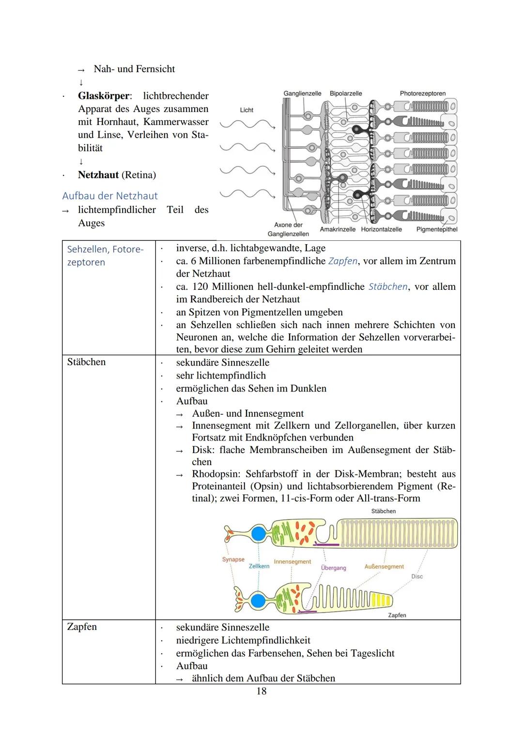 Inhalt
Reize...
Reiz-Reaktion...
Reizaufnahme.
Transformation
Transmission....
Integration..
Nervenzelle...
Gliazellen
Biomembran.
Membranpo