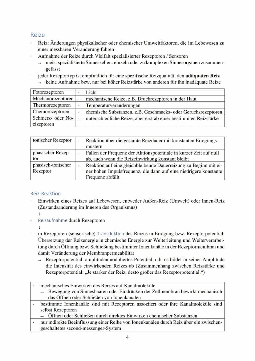 Inhalt
Reize...
Reiz-Reaktion...
Reizaufnahme.
Transformation
Transmission....
Integration..
Nervenzelle...
Gliazellen
Biomembran.
Membranpo
