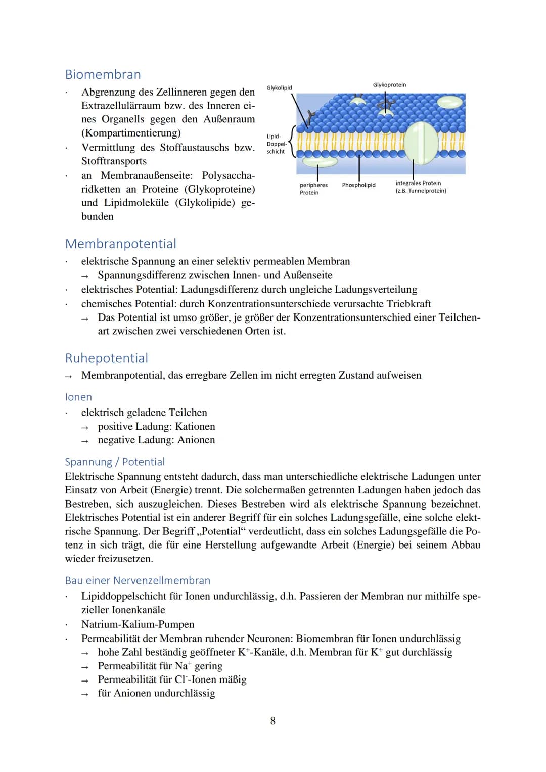 Inhalt
Reize...
Reiz-Reaktion...
Reizaufnahme.
Transformation
Transmission....
Integration..
Nervenzelle...
Gliazellen
Biomembran.
Membranpo