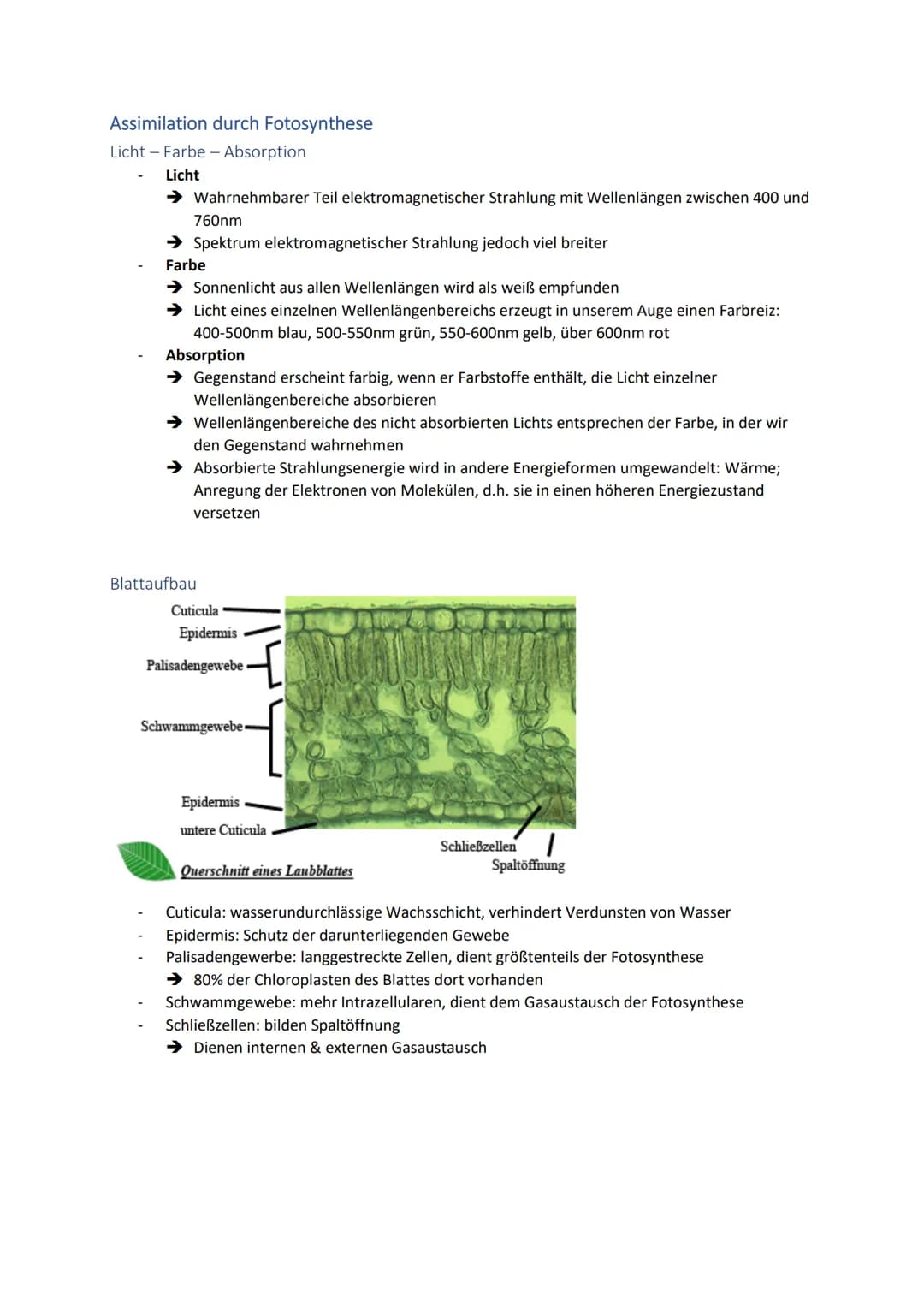 Dissimilationsprozesse
Aufbau eines Mitochondriums
AVURD
mtDNA
äußere Membran
Intermembranraum
innere Membran
Glykolyse
Matrix
Ribosomen
Abi