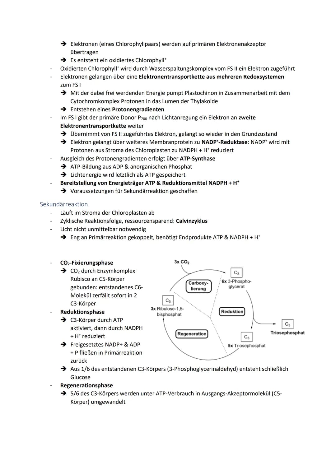 Dissimilationsprozesse
Aufbau eines Mitochondriums
AVURD
mtDNA
äußere Membran
Intermembranraum
innere Membran
Glykolyse
Matrix
Ribosomen
Abi