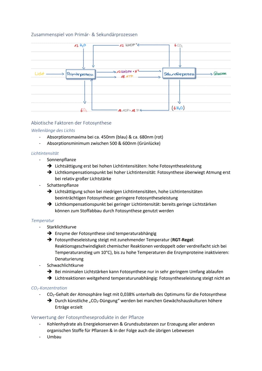 Dissimilationsprozesse
Aufbau eines Mitochondriums
AVURD
mtDNA
äußere Membran
Intermembranraum
innere Membran
Glykolyse
Matrix
Ribosomen
Abi