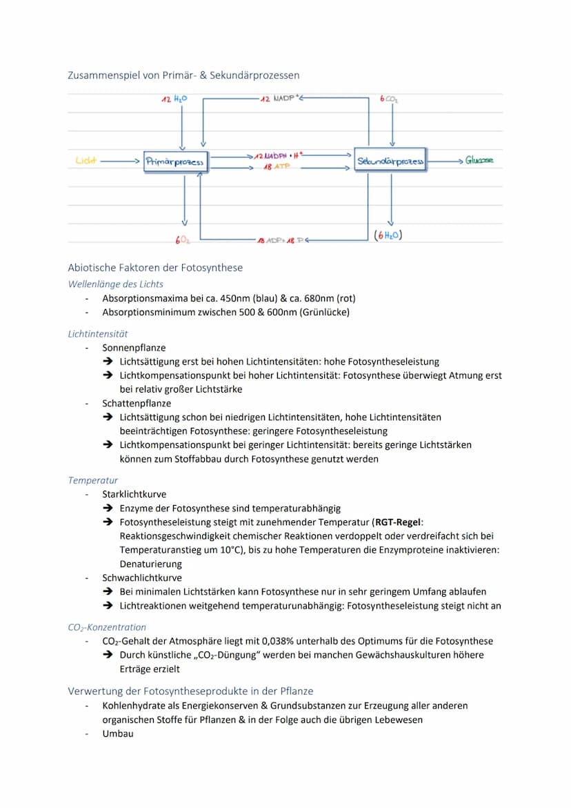 Dissimilationsprozesse
Aufbau eines Mitochondriums
AVURD
mtDNA
äußere Membran
Intermembranraum
innere Membran
Glykolyse
Matrix
Ribosomen
Abi