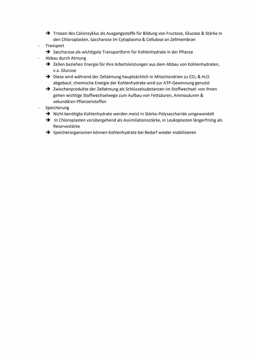 Dissimilationsprozesse
Aufbau eines Mitochondriums
AVURD
mtDNA
äußere Membran
Intermembranraum
innere Membran
Glykolyse
Matrix
Ribosomen
Abi