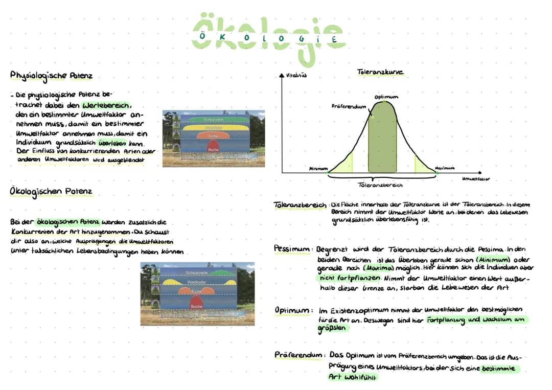 Understanding Ecological Potency and RGT Rule: Easy Examples for Kids
