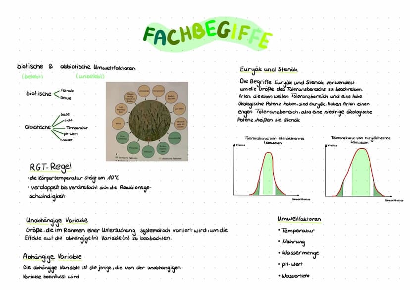 Physiologische Potenz
- Die physiologische Potenz be-
trachet dabei den Wertebereich,
den ein bestimmter Umweltfaktor an-
nehmen muss, damit