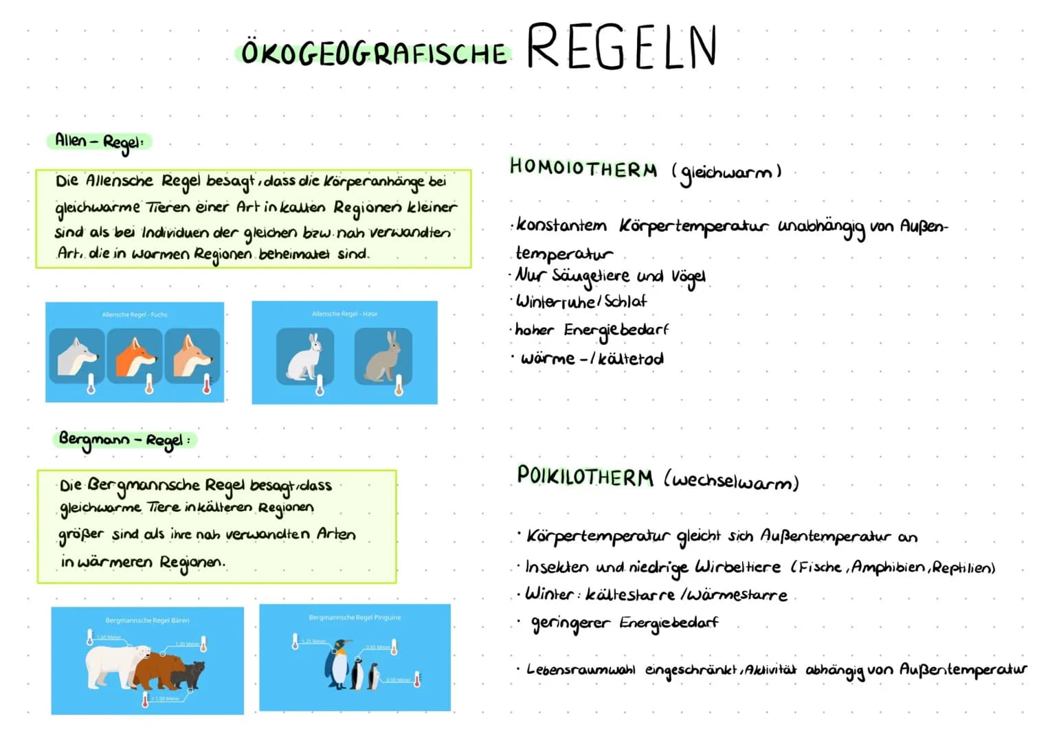 Physiologische Potenz
- Die physiologische Potenz be-
trachet dabei den Wertebereich,
den ein bestimmter Umweltfaktor an-
nehmen muss, damit