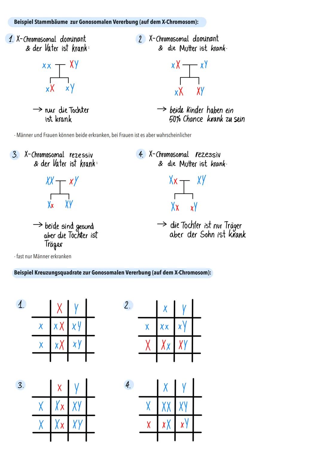- wichtige Teil der Erbforschung
-z.B. wenn man ein Kind bekommen möchte und weiß/vermutet, dass es in der Familie eine Erbkrankheit gibt
- 
