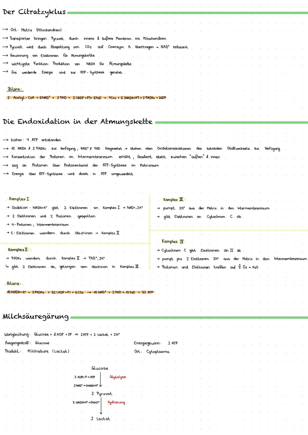 Zellatmung
→ Aufrechterhaltung Lebensfunktionen & Verrichtung von Arbeit Zellen benötigen Laufend Energie
→ aerober Abbau von Kohlenhydraten