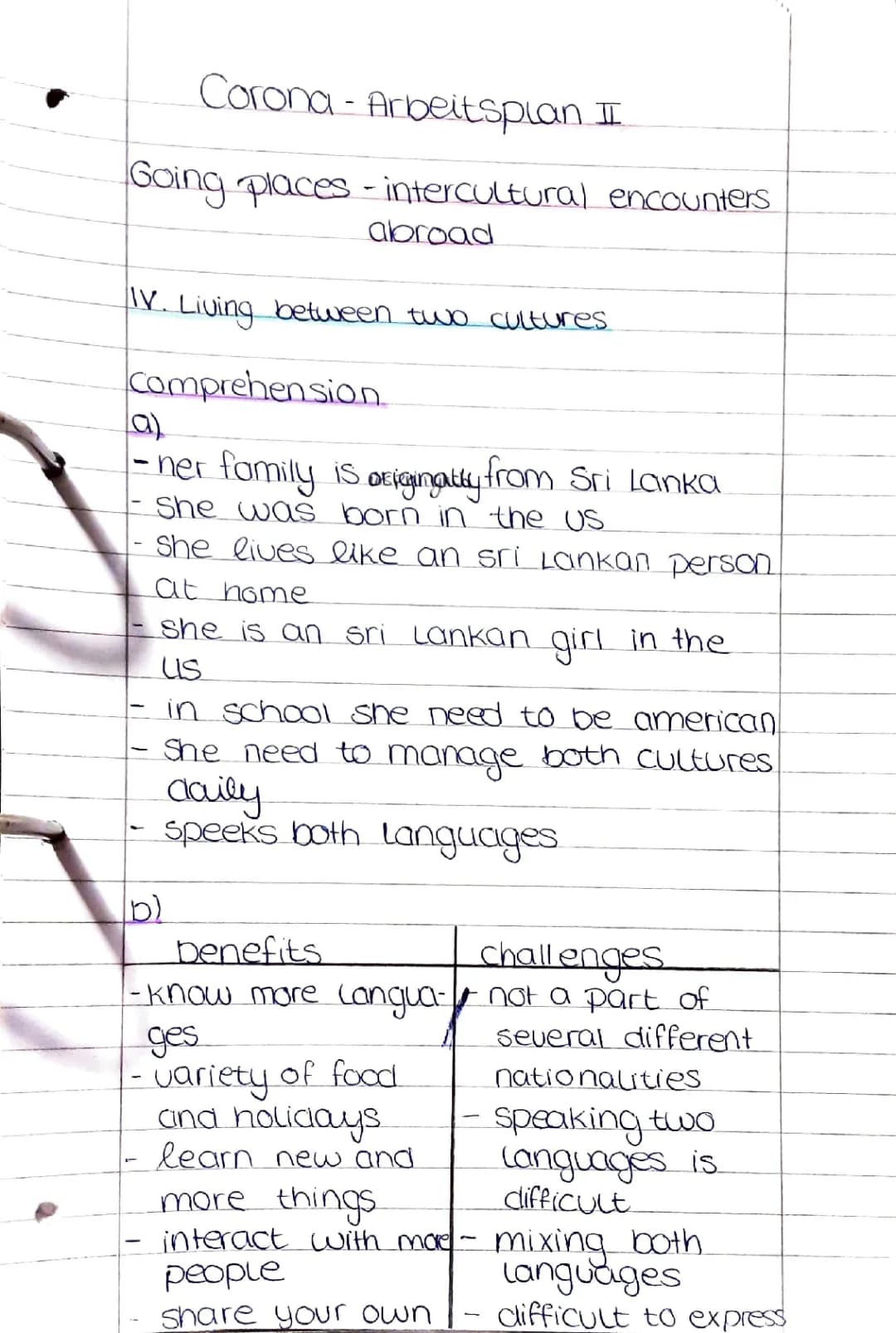 Living in 2 Cultures: Pros, Cons, and What Happens When Cultures Meet?