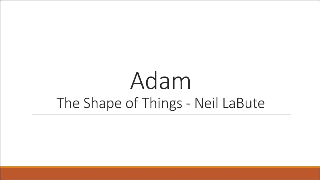 The Shape of Things: Chapter 1 Summary and Evelyn's Character Analysis