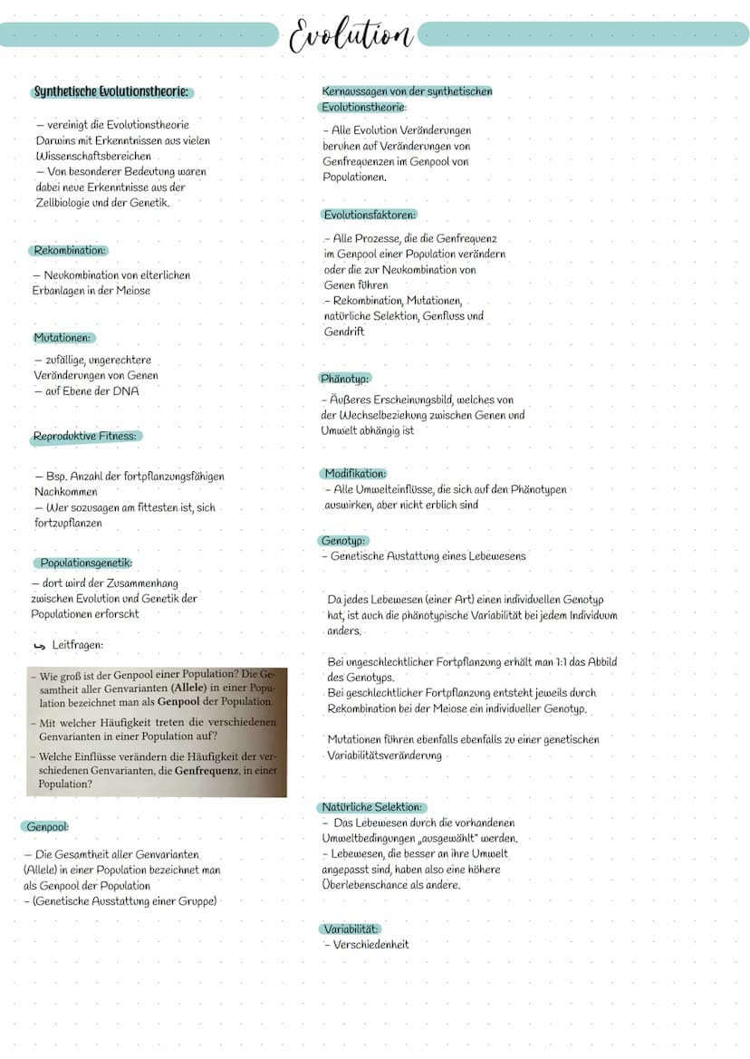 EVOLUTION Allgemeine Begriffe:
Artbegriff - morphologisch:
Alle Individuen gehören zu einer Art, die in
ihren wesentlichen Merkmalen überein