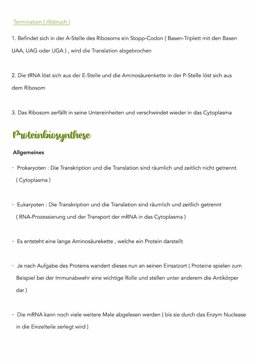 Proteinbiosynthese
Transkription (lat. transcribere = umschreiben)
3'
DNA Doppelstrang
Codogener Strang
mRNA
១.២.២.២
Initiation (Vorbereitun