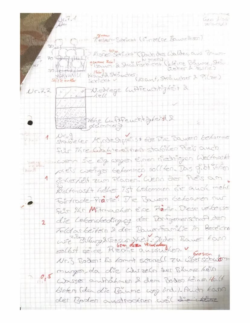 Name: Chantale
viel Erfolg
Geographie Klasse 8 Klassenarbeit 1
Punkte: 21,5
Tropischer Regenwald
Aufgabe
Trage in die Karte den tropischen R
