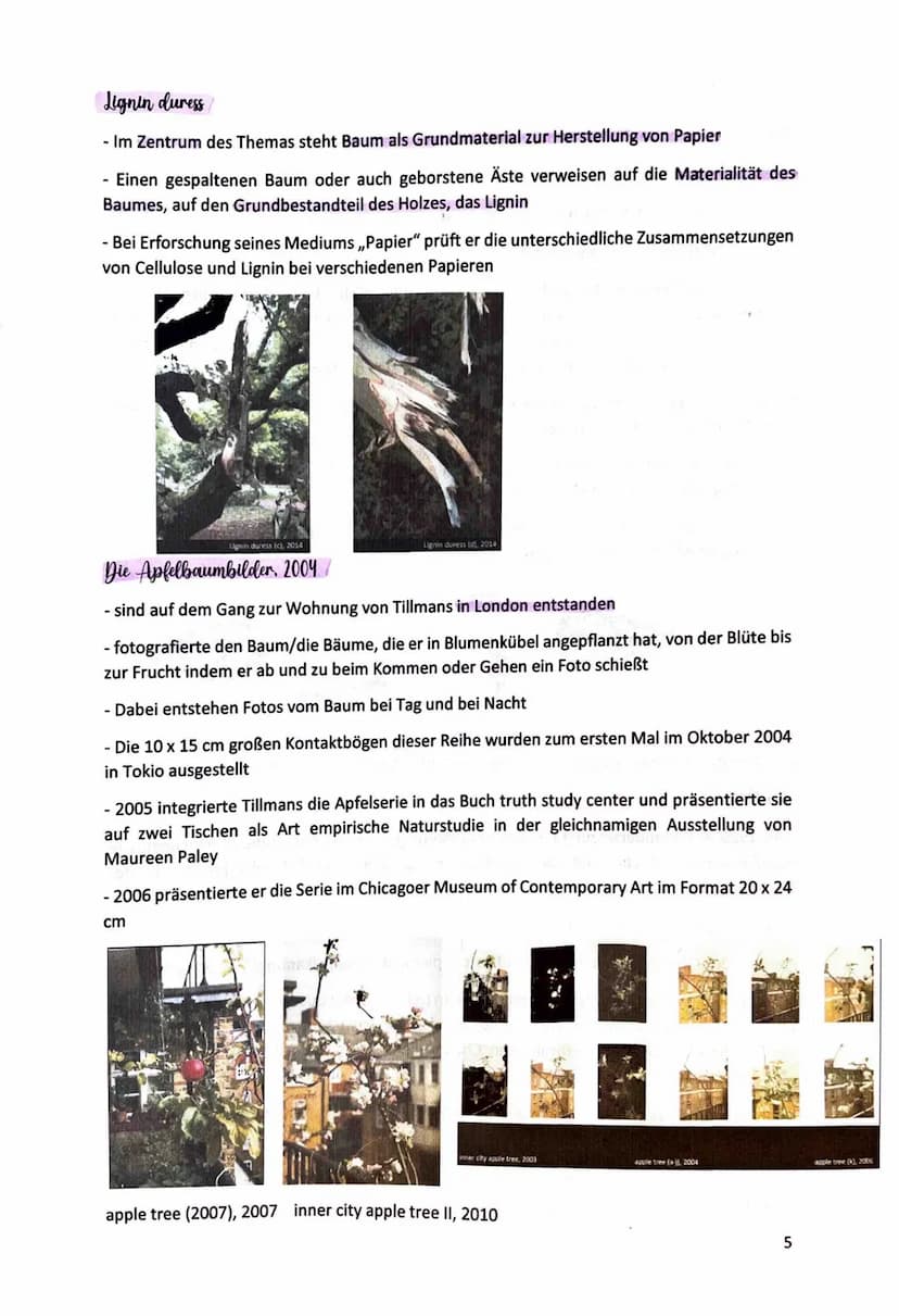 Kunst Klausur 4 - Wolfgang Tillmans
Lebenslauf
- 16.08.1968 in Remscheid geboren
- 1988: Erste Einzelausstellung im Cafe Gnosa, Hamburg: „Ap