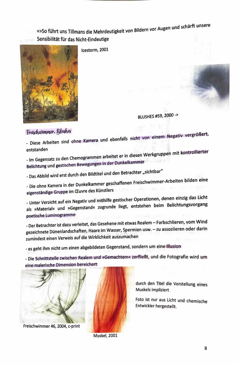Kunst Klausur 4 - Wolfgang Tillmans
Lebenslauf
- 16.08.1968 in Remscheid geboren
- 1988: Erste Einzelausstellung im Cafe Gnosa, Hamburg: „Ap