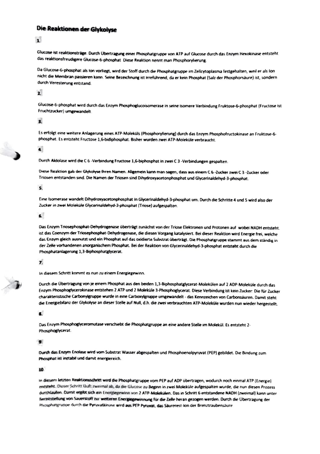 Reaktionen der Glykolyse