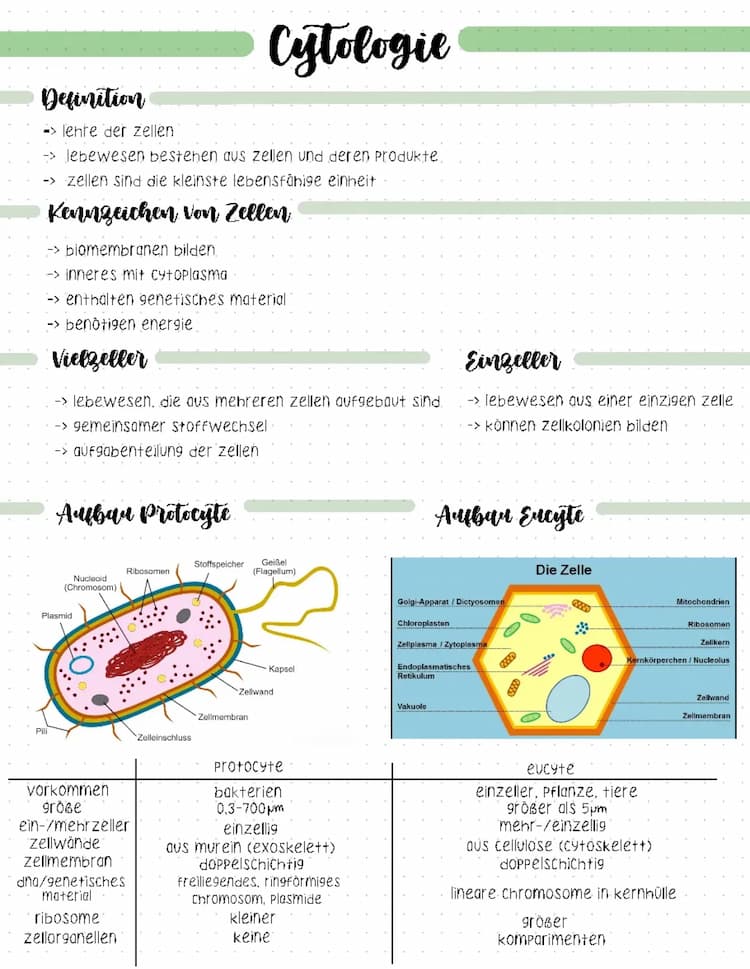 Know Cytologie  thumbnail