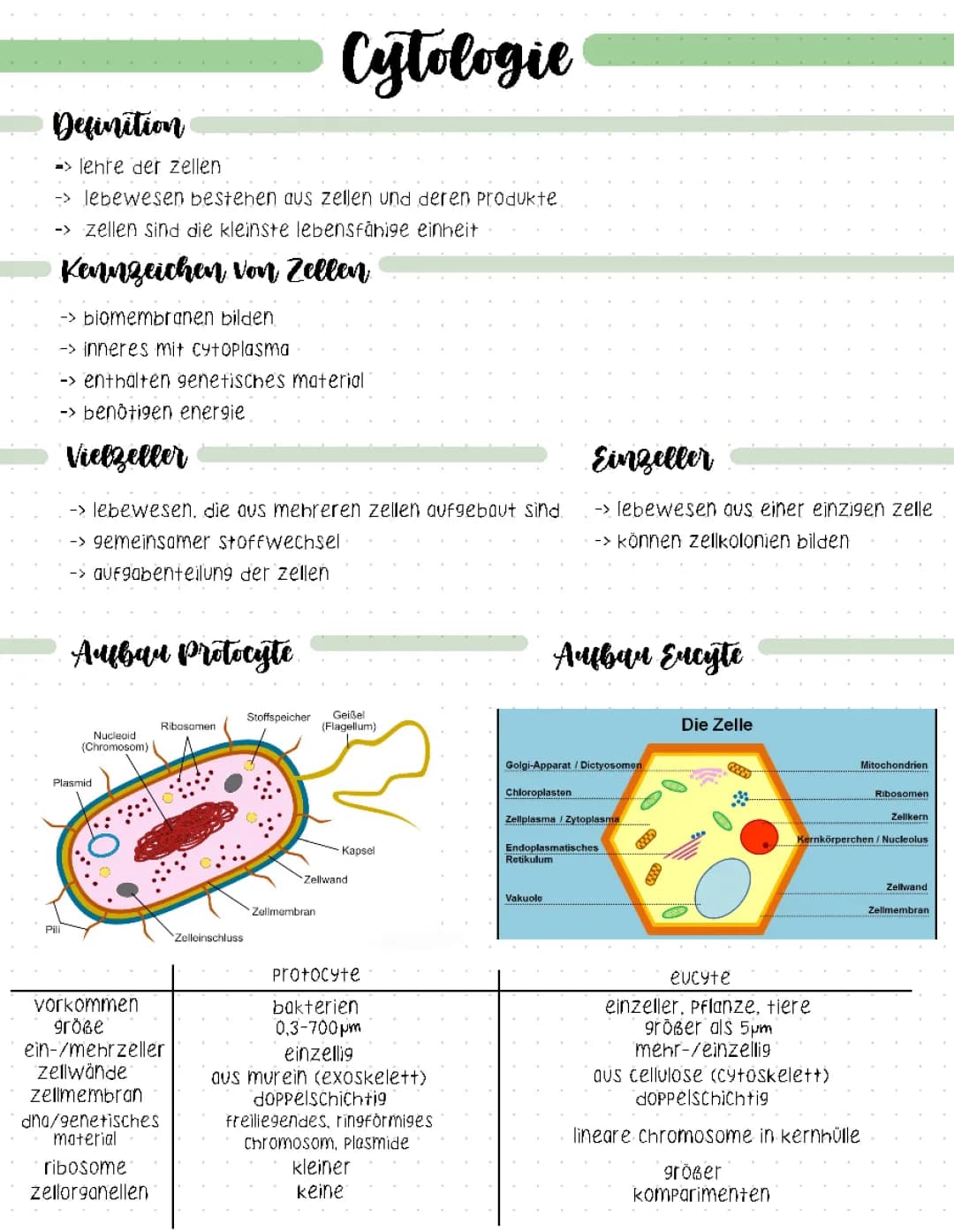 Cytologie 